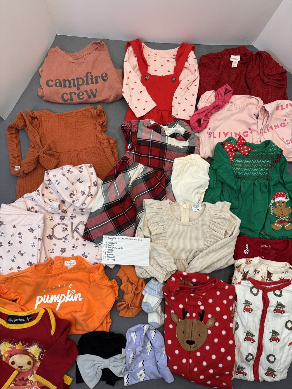 Baby Girl 6-9M Fall/Winter Clothing Lot - 24-Piece Wardrobe Bundle #573